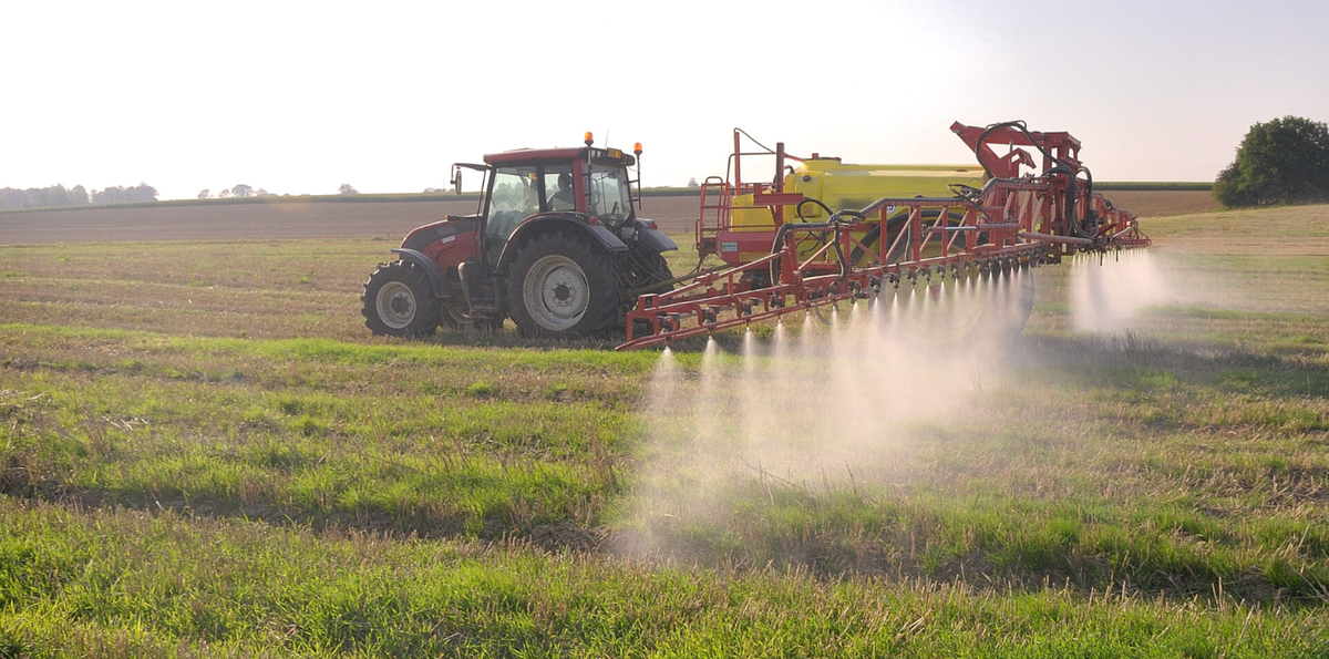 Is “Gluten Intolerance” Really About Gluten… or Something Else?