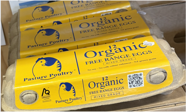 Organic Eggs in New Zealand